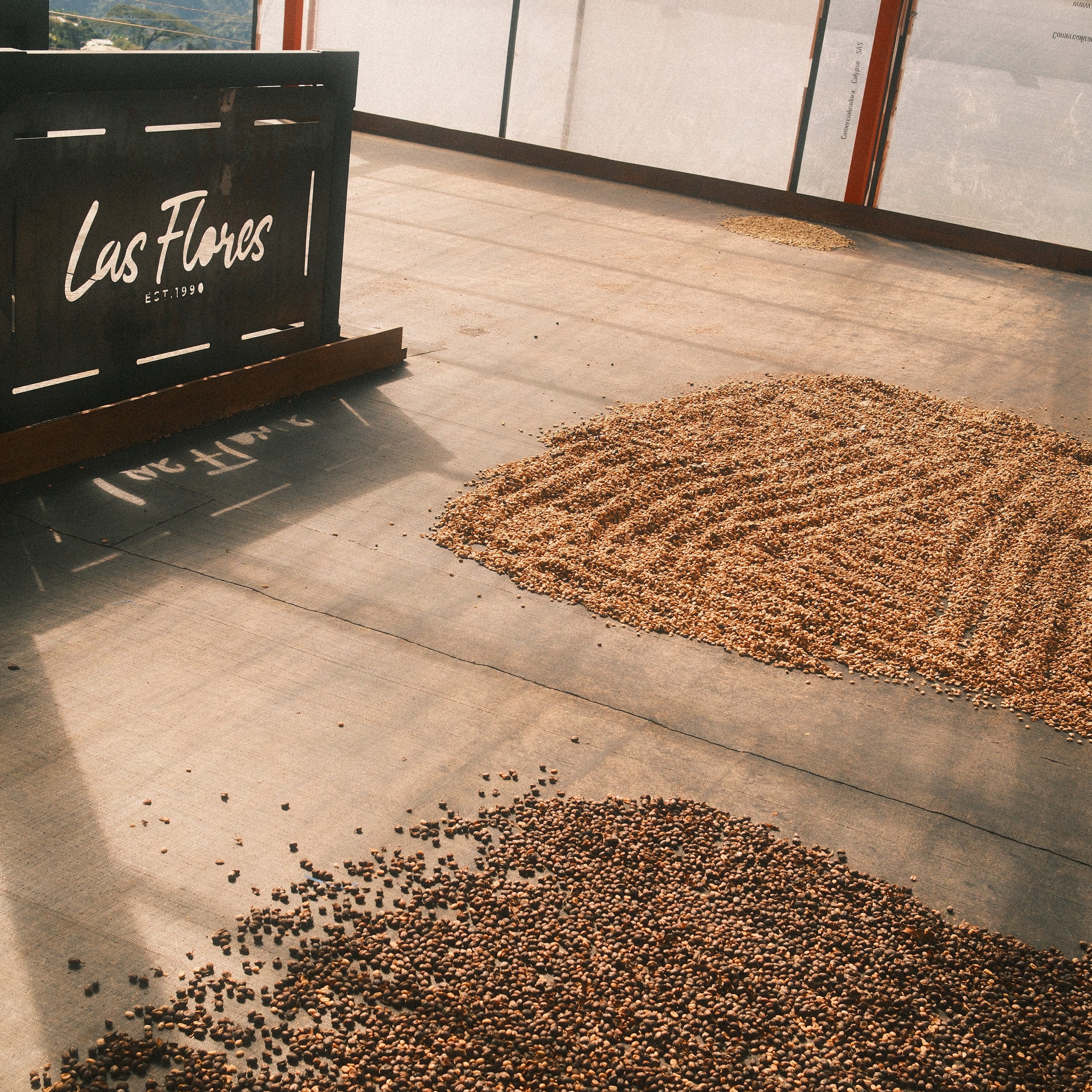 Imagen del producto 7