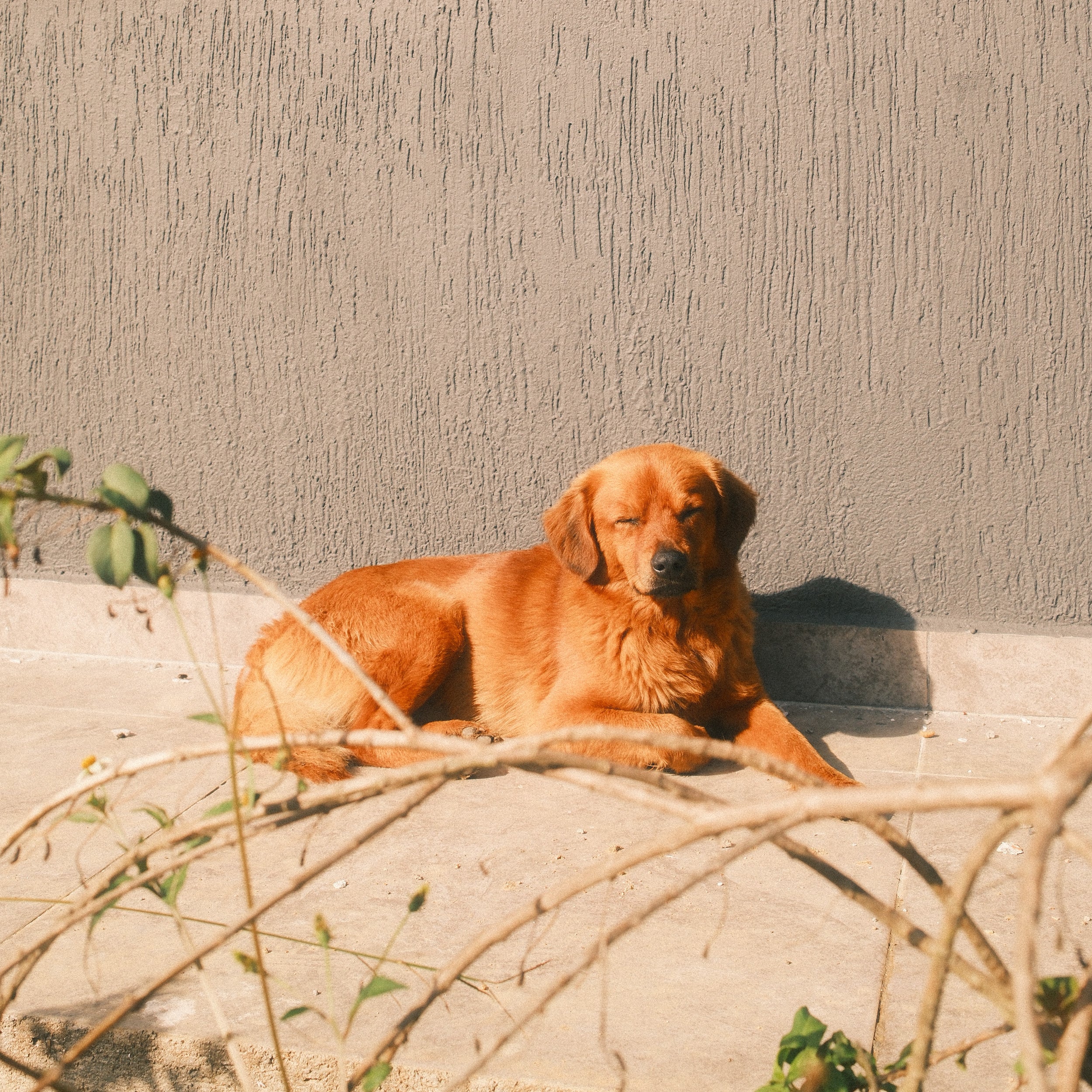 Imagen del producto 8