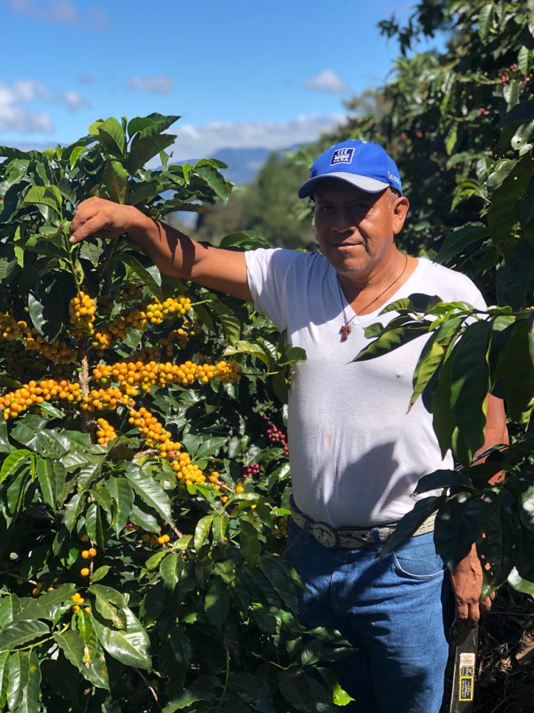 Imagen del producto 4