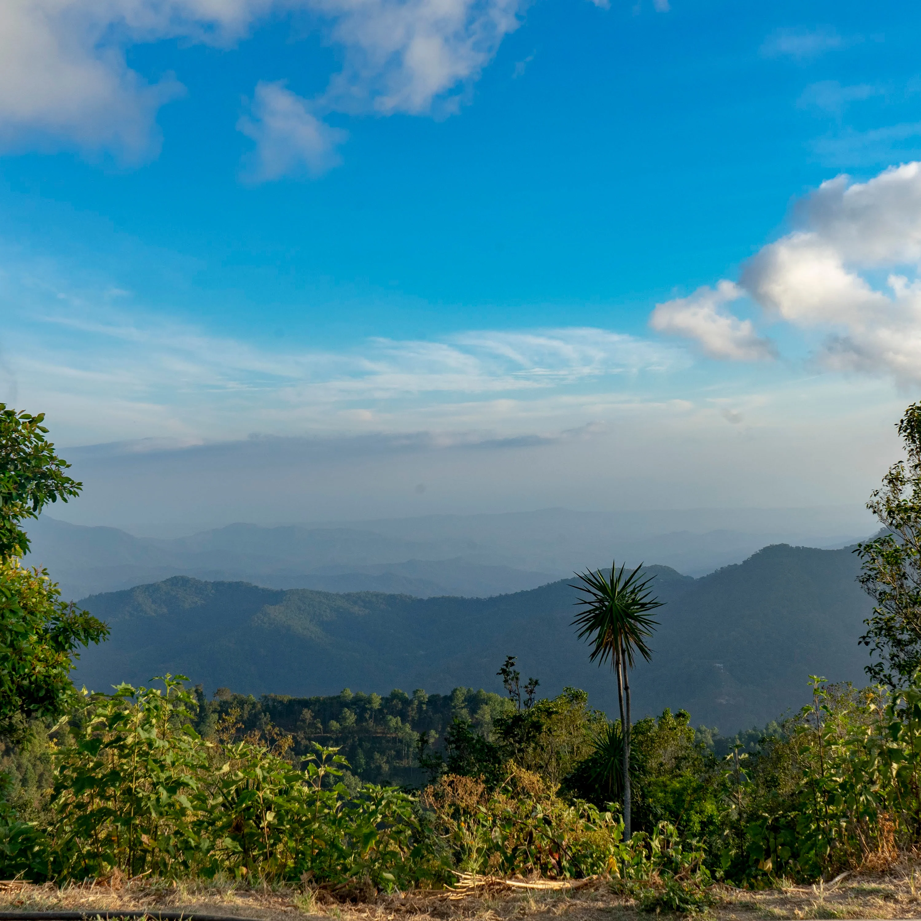 Imagen del producto 7