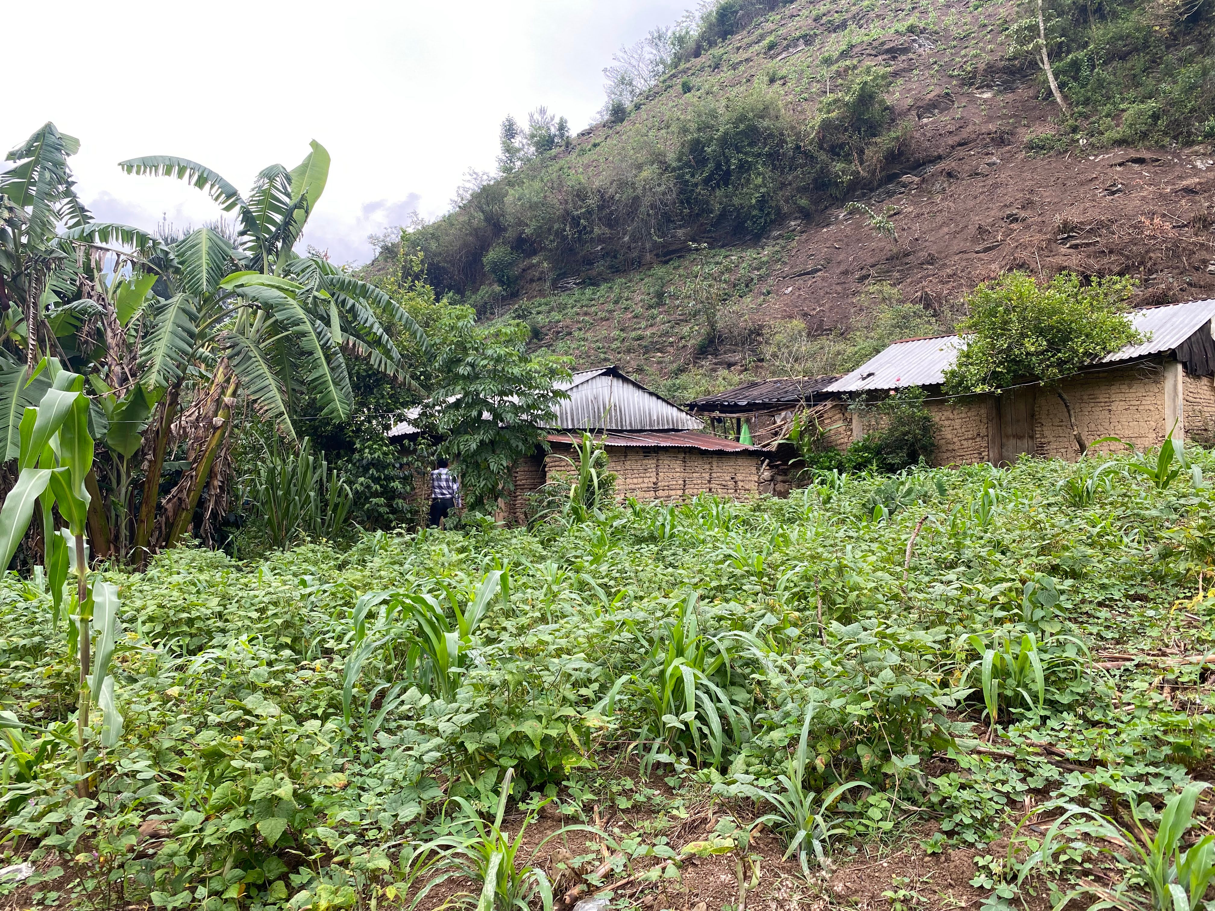 Imagen del producto 3