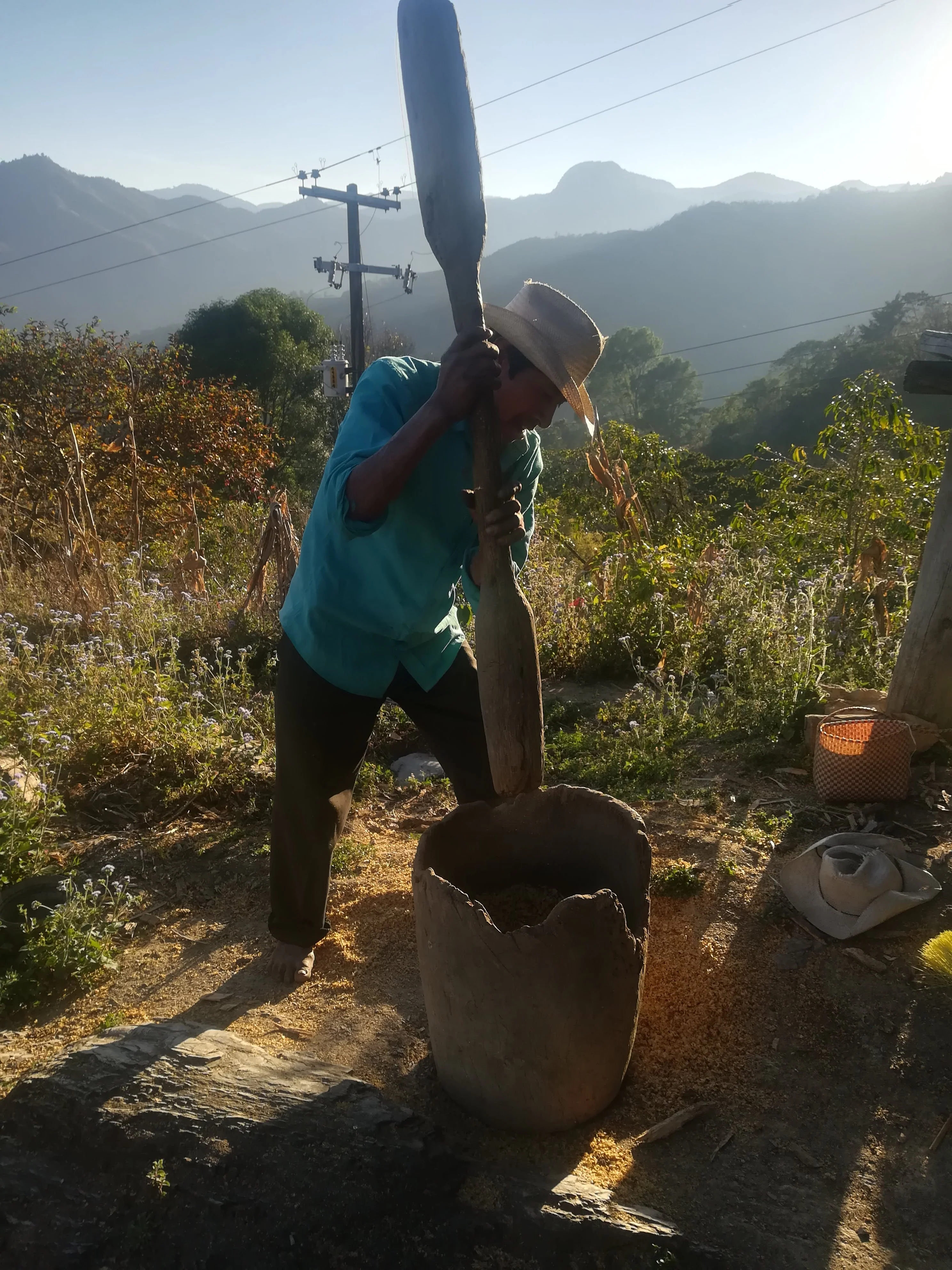 Imagen del producto 6