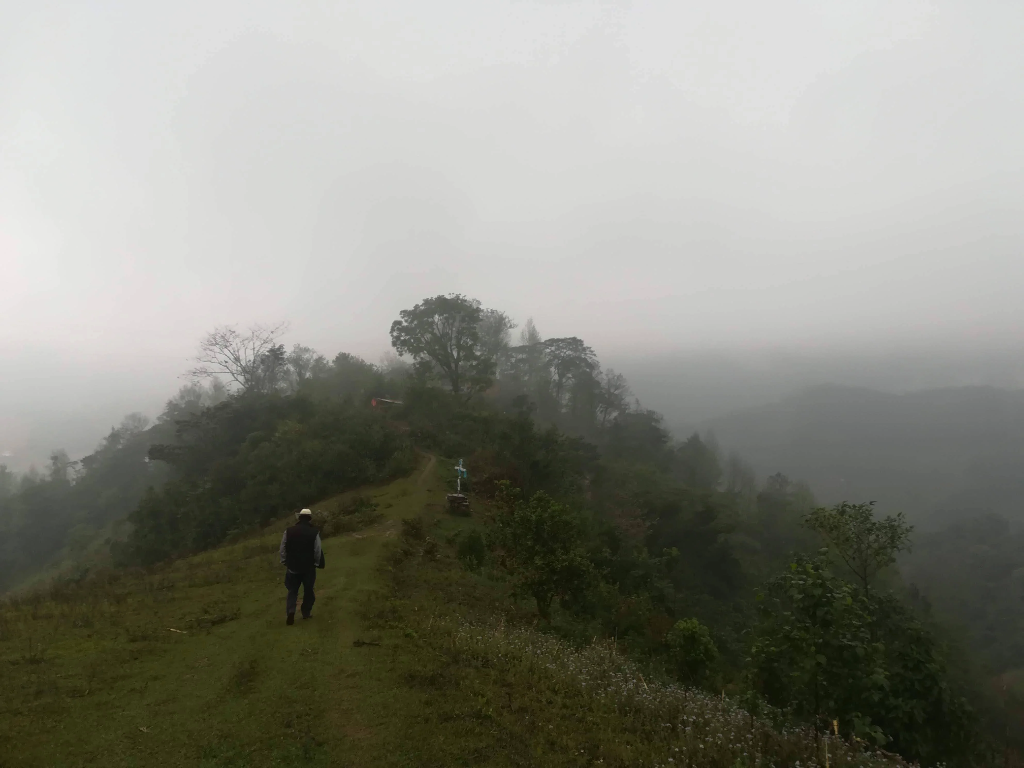 Imagen del producto 7